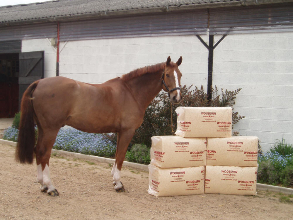equestrian-equipment-horse-beddings-shavings-equine-bedding